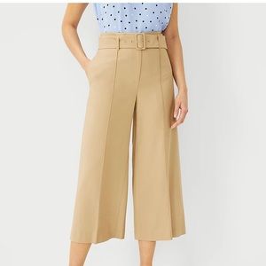 Ann Taylor Culotte Pants